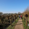 IMG_1685299