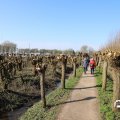 IMG_1685300