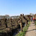 IMG_1685301