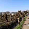 IMG_1685302