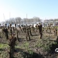IMG_1685306