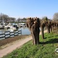 IMG_1685310