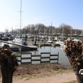 IMG_1685313