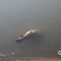 IMG_1685314