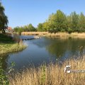 IMG_1687447