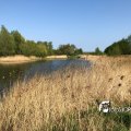 IMG_1687448