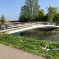 IMG_1687450