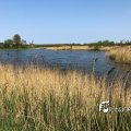 IMG_1687451