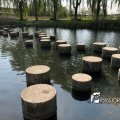 IMG_1687458