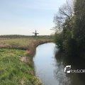 IMG_1687465