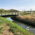 IMG_1687467