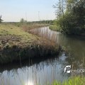 IMG_1687469