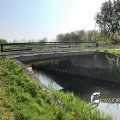 IMG_1687471