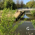 IMG_1687479