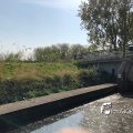 IMG_1687482