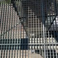 IMG_1688061
