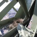 IMG_1688162