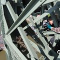 IMG_1688249