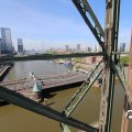 IMG_1688295