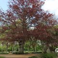 IMG_1688351