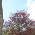 IMG_1688352