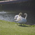 00103D2020