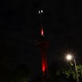 IMG_1689338