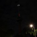 IMG_1689339
