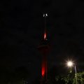IMG_1689345