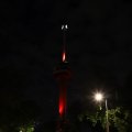 IMG_1689348