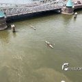 IMG_1693928