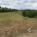 IMG_1694121