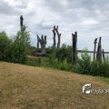 IMG_1694131
