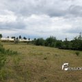 IMG_1694132