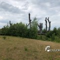 IMG_1694134