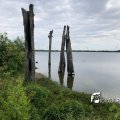 IMG_1694136