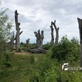 IMG_1694140