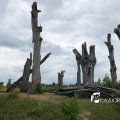 IMG_1694141