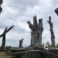 IMG_1694142