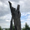 IMG_1694148