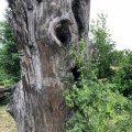 IMG_1694156