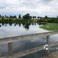 IMG_1694159