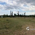IMG_1694160
