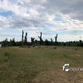 IMG_1694161