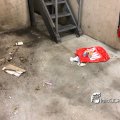 IMG_1694497