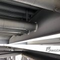 IMG_1696649