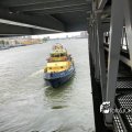 IMG_1696689