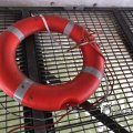 IMG_1696690
