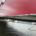 IMG_1696713