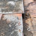 IMG_1696765